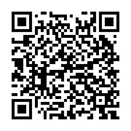QR code for N4O 250