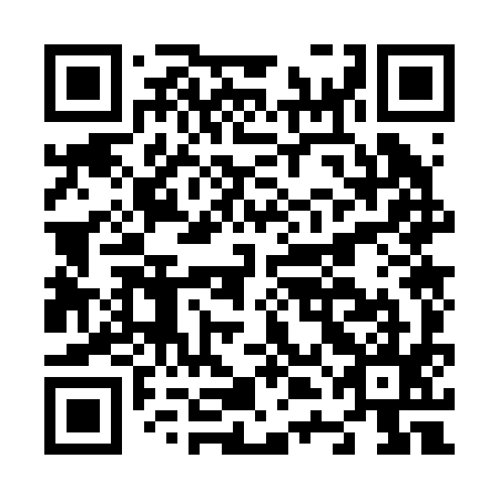 QR code for N4O 295