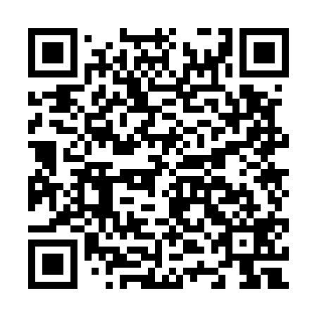 QR code for N4O 519