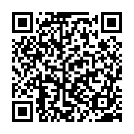 QR code for plate N4O 163