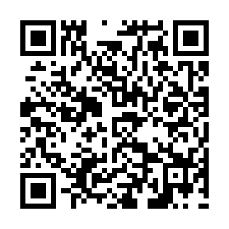 QR code for plate N4O 339