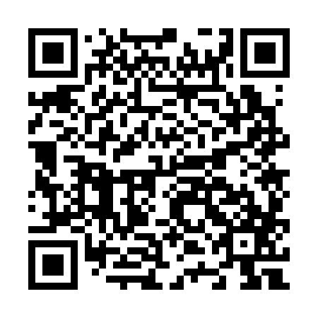 QR code for N4O387