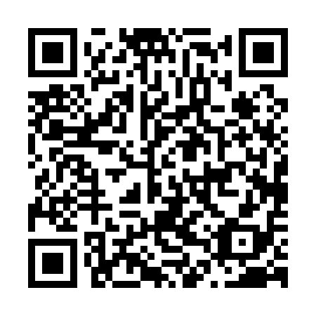 QR code for N4P 118