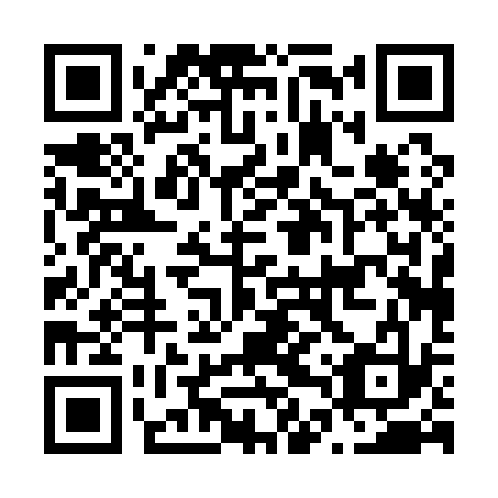QR code for N4P 133