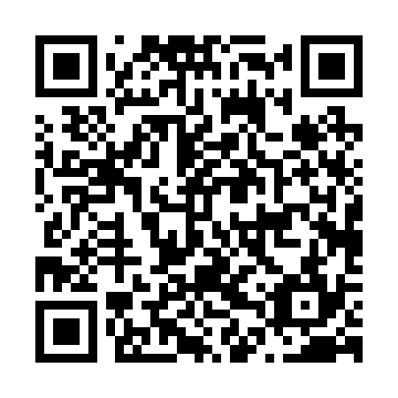 QR code for N4P 234