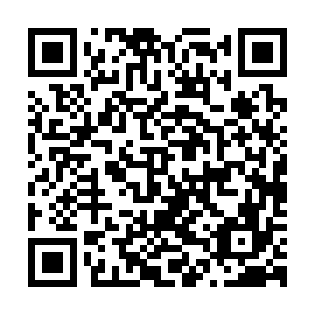QR code for N4P 376