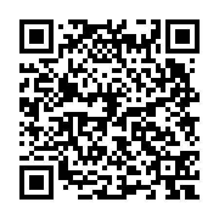 QR code for N4P 630