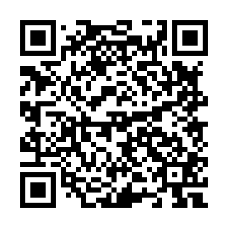 QR code for N4P 801