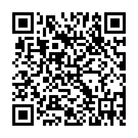 QR code for N4P 857