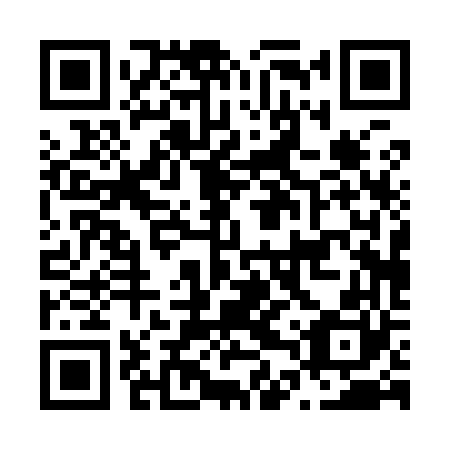 QR code for N4P 960