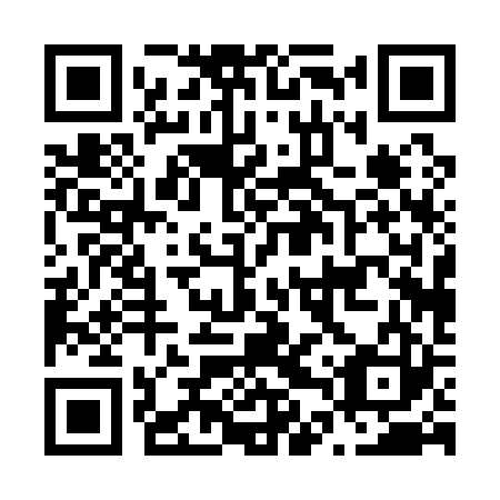 QR code for N4P123