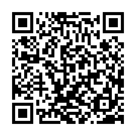 QR code for N4P132