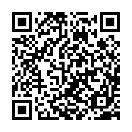QR code for plate N4P 197