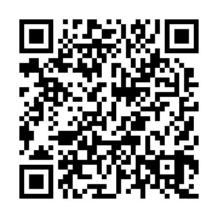 QR code for N4P209