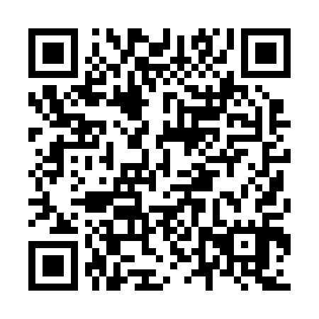 QR code for N4P215