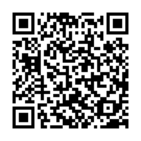 QR code for plate N4P 219