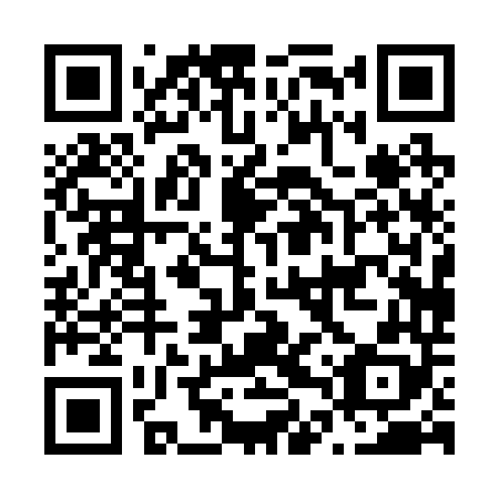QR code for N4P248
