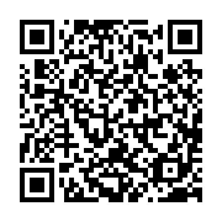QR code for N4P290