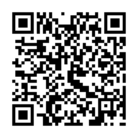 QR code for N4P307