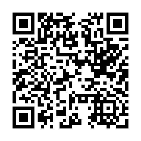 QR code for N4P493