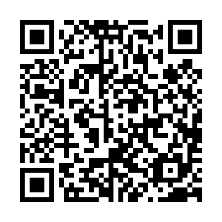 QR code for plate N4P 495