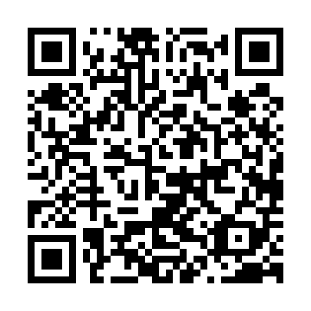 QR code for N4P509