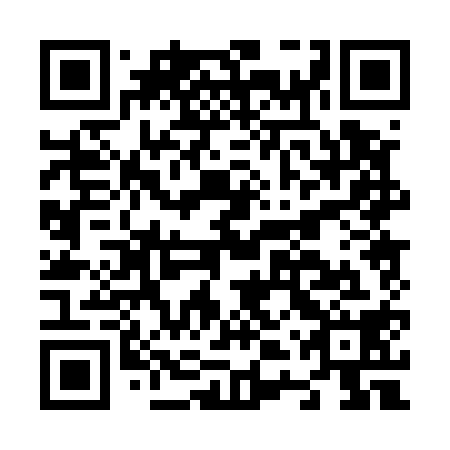 QR code for N4P518