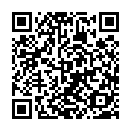 QR code for N4P568