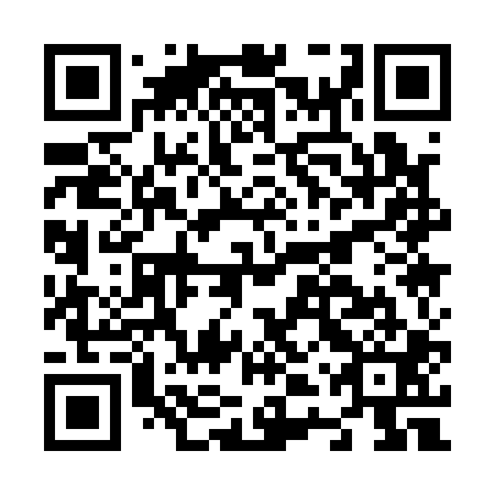 QR code for N4Q 101