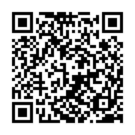 QR code for N4Q 113