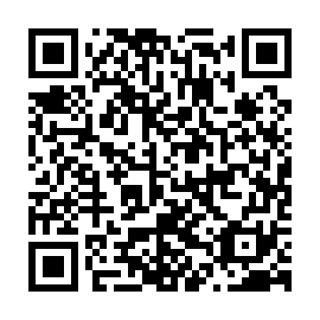 QR code for N4Q 171