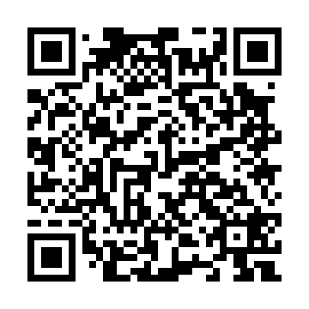 QR code for plate N4Q 028