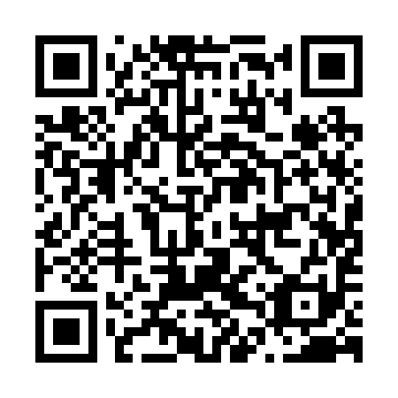 QR code for plate N4Q 291