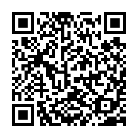 QR code for plate N4Q 699