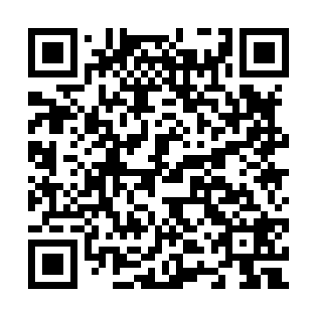 QR code for plate N4Q 828
