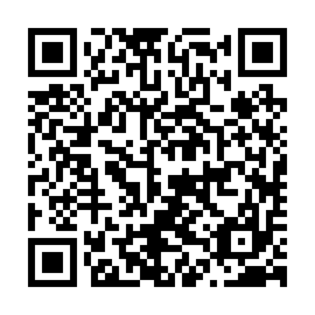 QR code for N4R 217