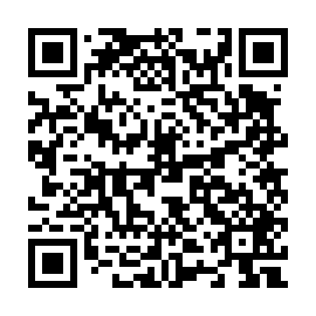 QR code for N4R 449