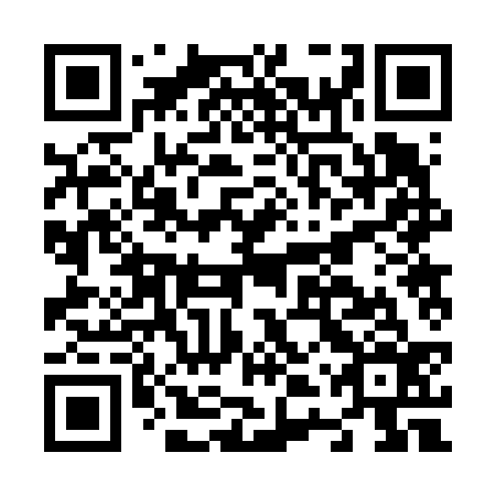 QR code for N4R 636