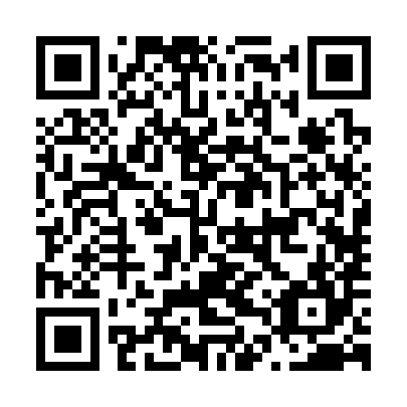 QR code for plate N4R 384