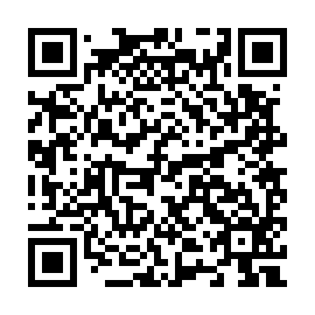 QR code for N4R596