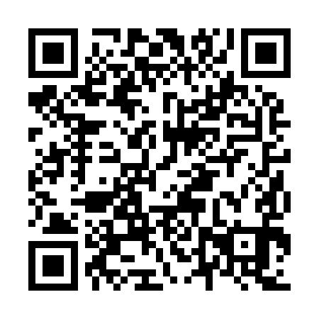 QR code for N4R991