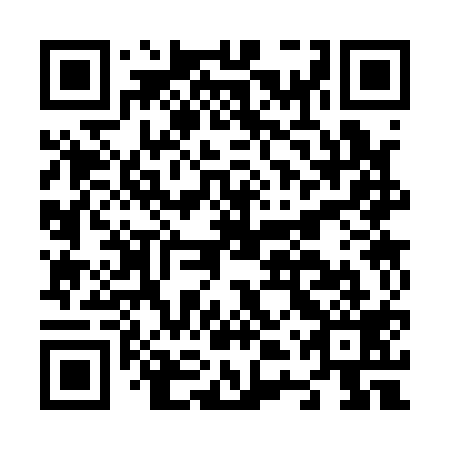QR code for N4S 119