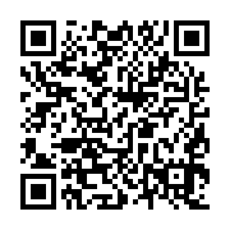 QR code for N4S 155