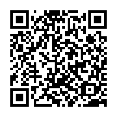 QR code for N4S 369