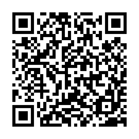 QR code for N4S 492