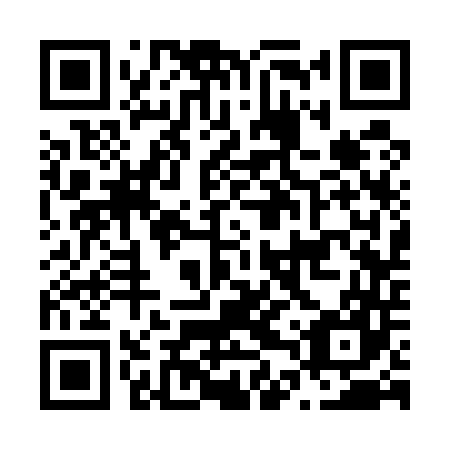 QR code for N4S 547