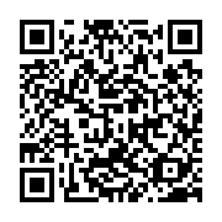 QR code for N4S 729