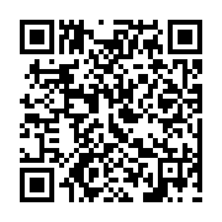 QR code for N4S395