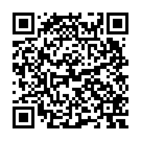 QR code for plate N4S 609