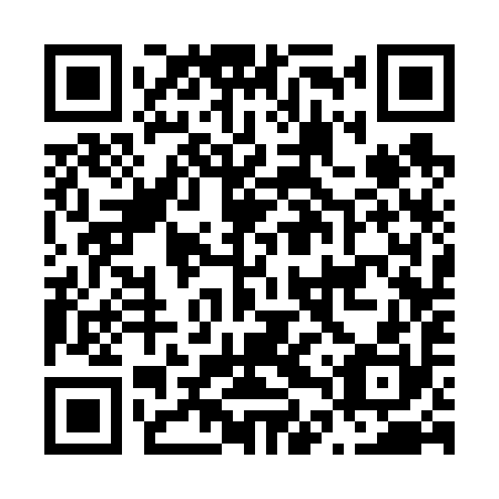 QR code for plate N4S 690